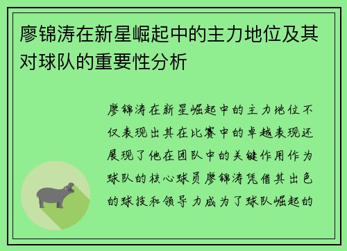 廖锦涛在新星崛起中的主力地位及其对球队的重要性分析
